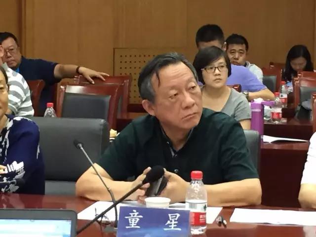 童星教授正在发表评论